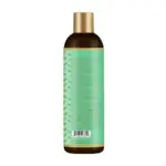 African Pride Feel It Formula Strengthening Shampoo 355ml — frontal